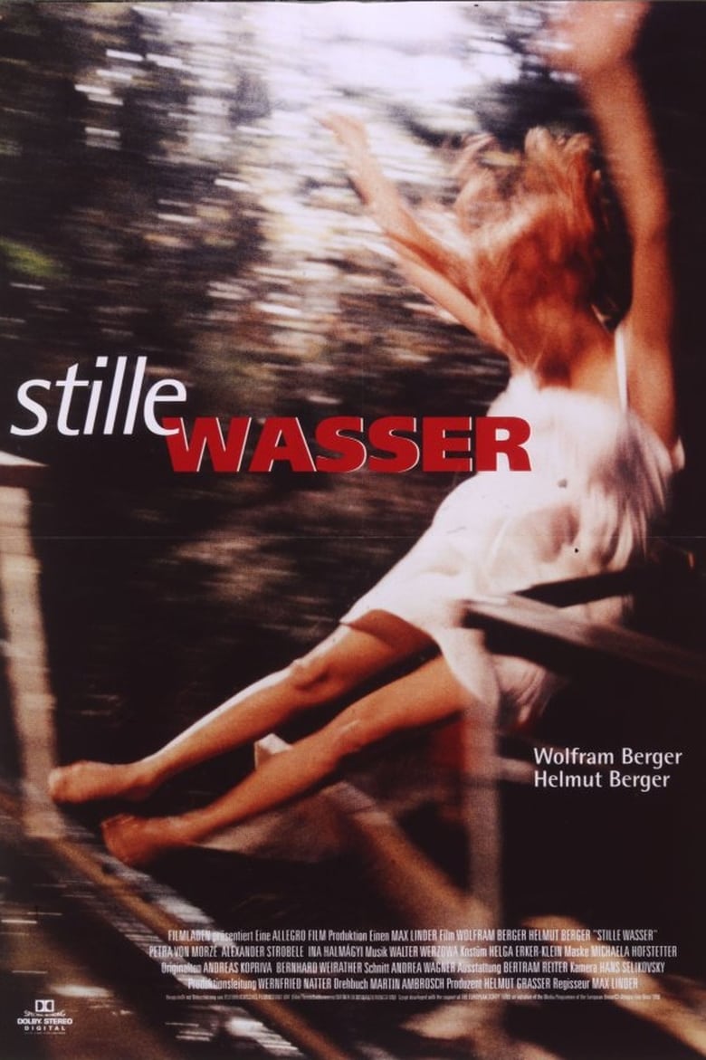 Poster of Stille Wasser