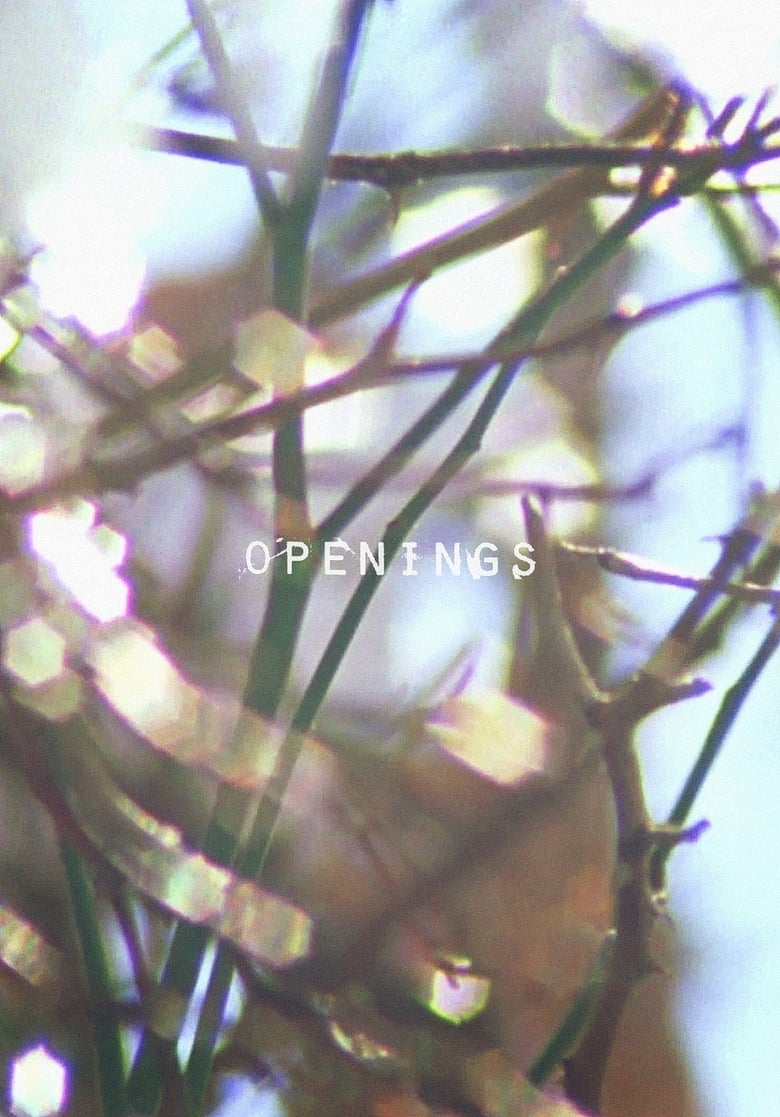 Poster of Openings