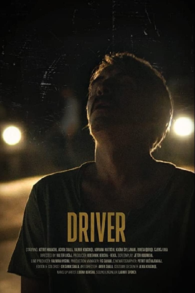 Poster of Driver