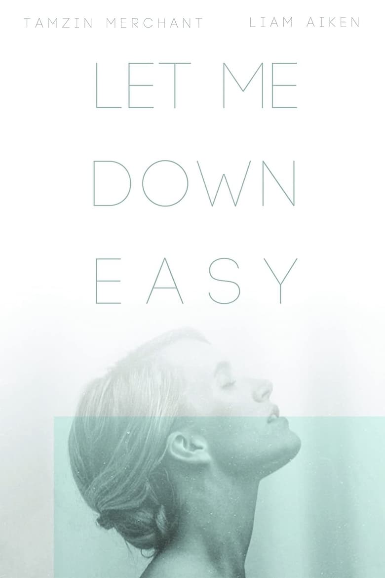 Poster of Let Me Down Easy