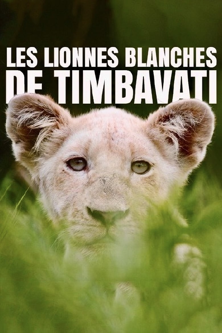 Poster of La terre des lionnes blanches