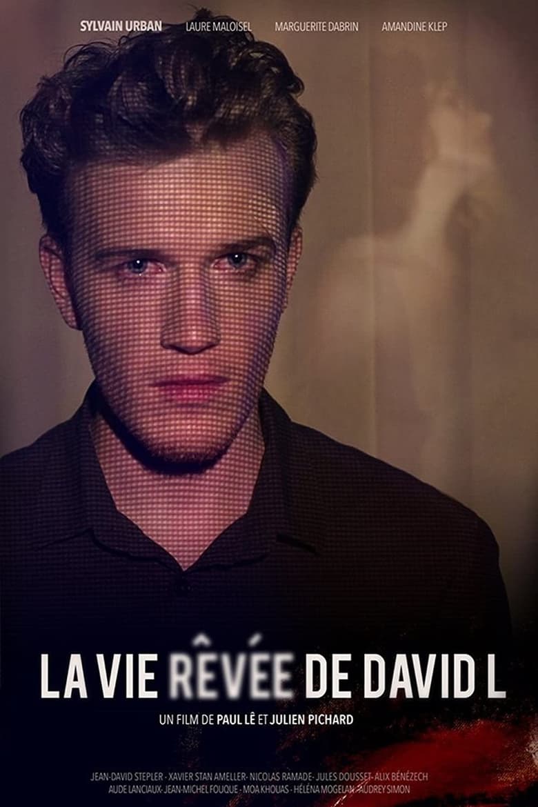 Poster of The Dreamlife of David L