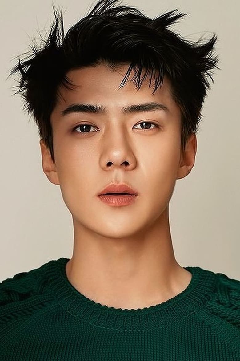 Portrait of Sehun