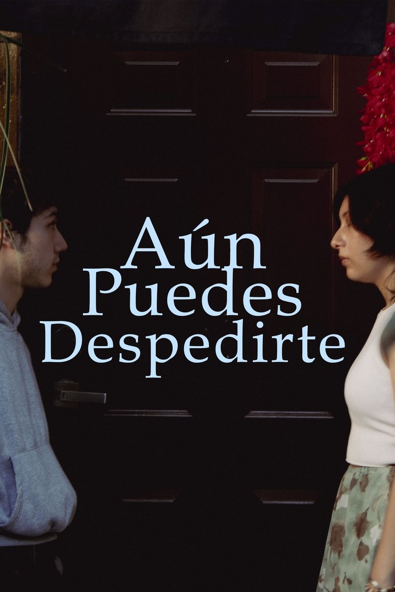 Poster of Aún puedes despedirte