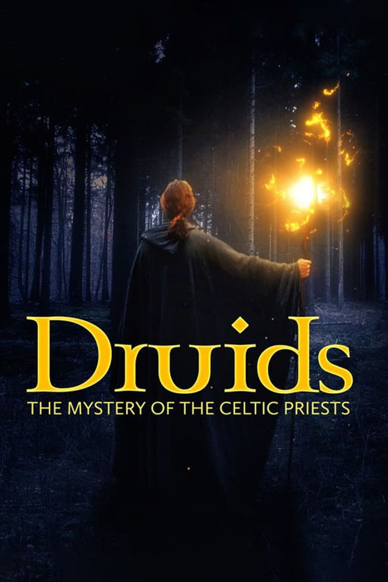 Poster of Die Druiden: Mächtige Priester der Kelten