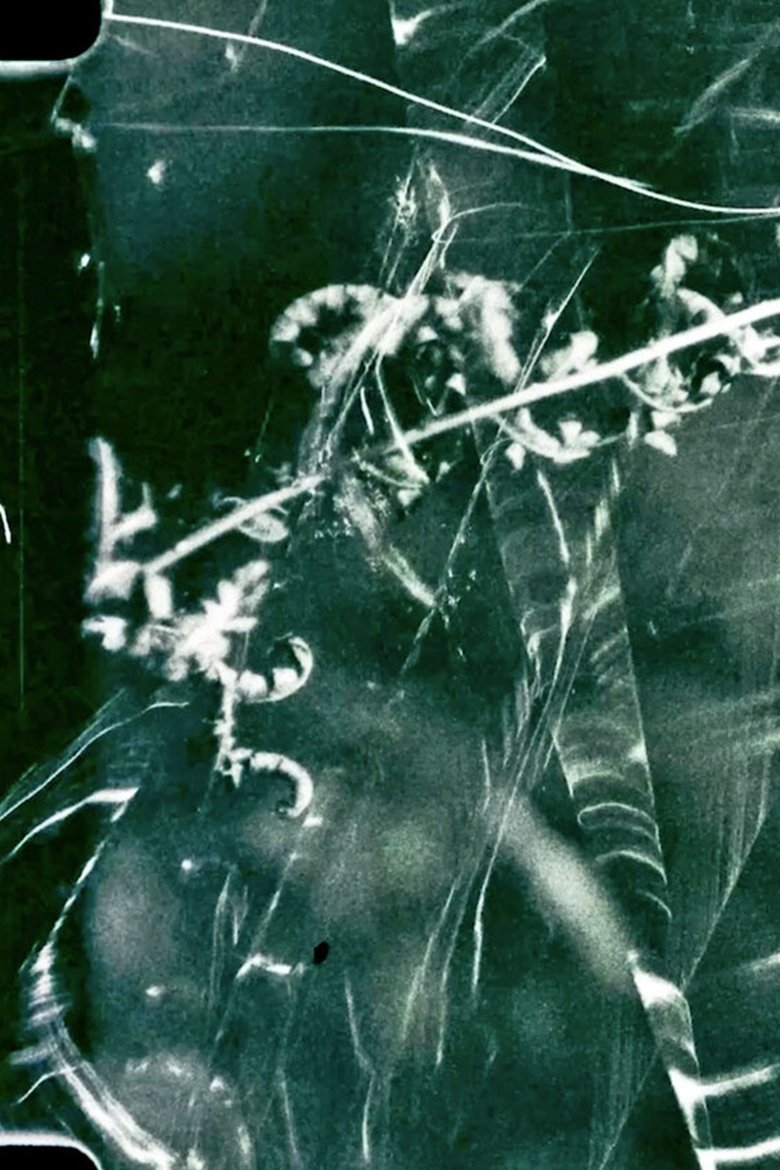 Poster of To Live and Die in the Shadows: Ferns, Survival and Horizontal Gene Transfer