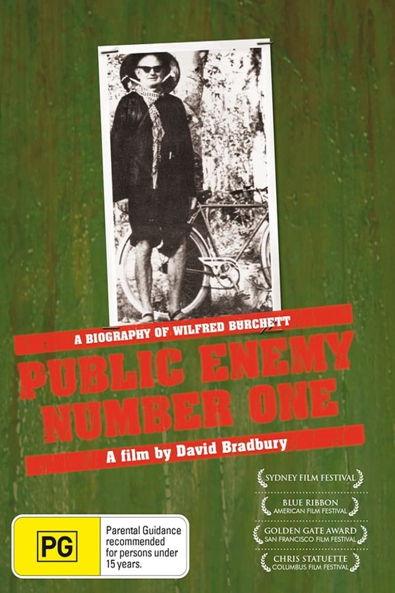 Poster of Public Enemy Number One