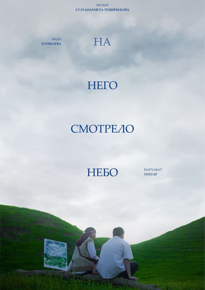 Poster of And the sky was watching