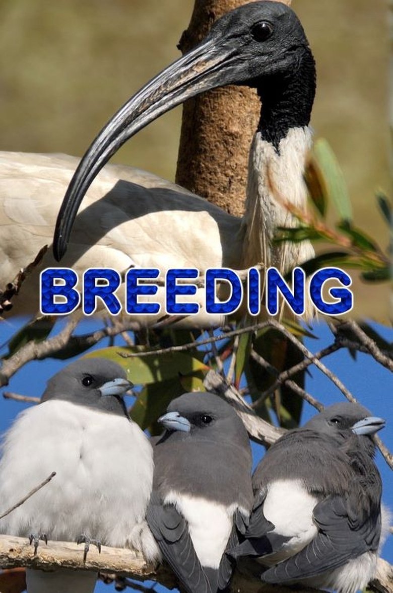 Poster of Breeding