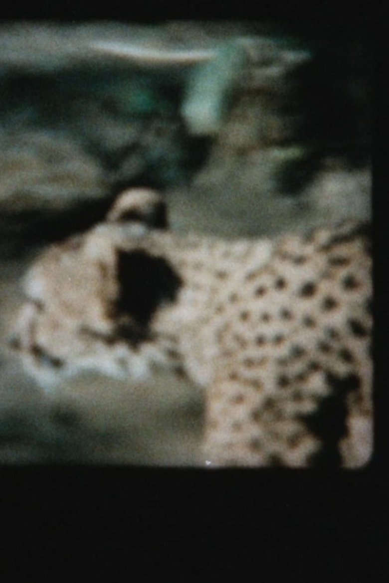 Poster of Cat's Cage