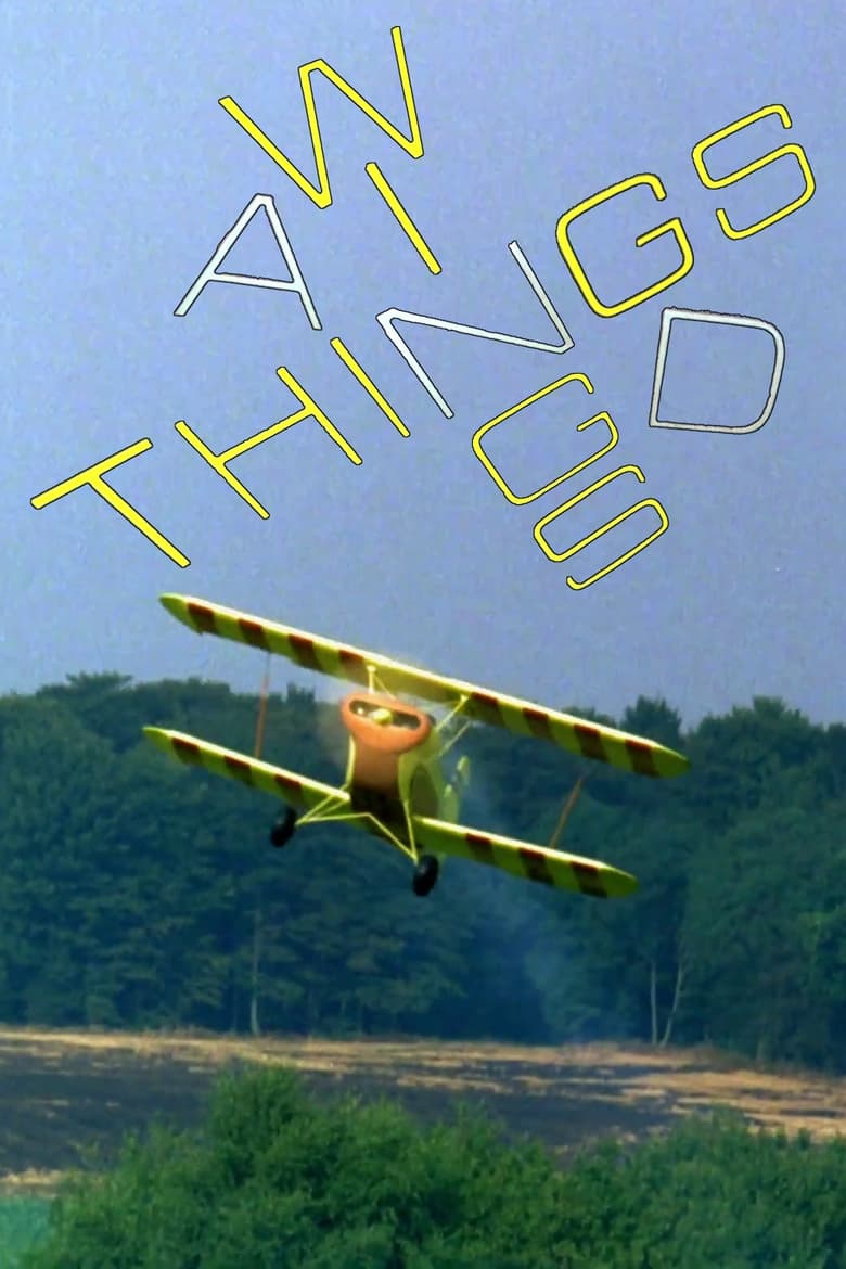 Poster of Wings and Things