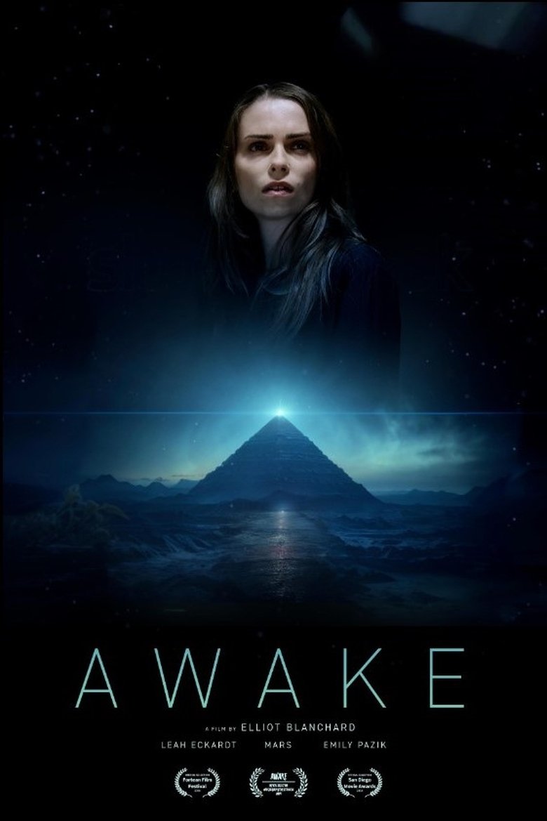 Poster of Awake