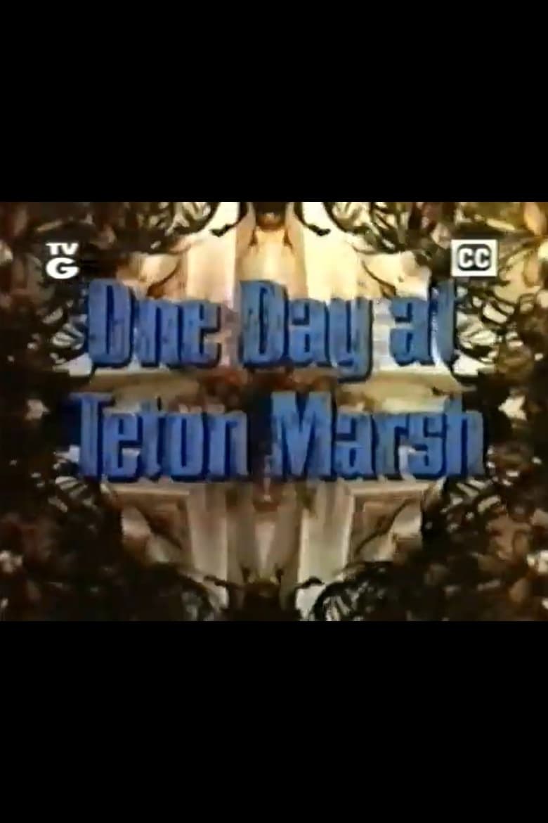 Poster of One Day at Teton Marsh