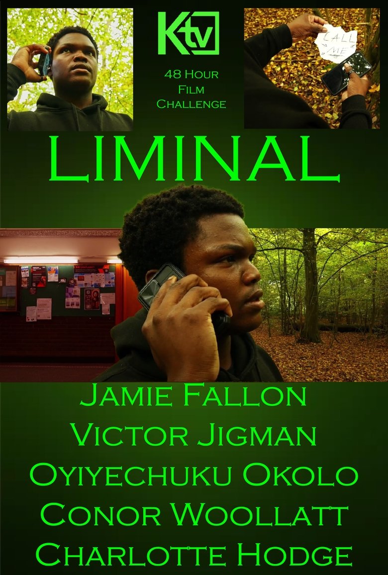 Poster of Liminal