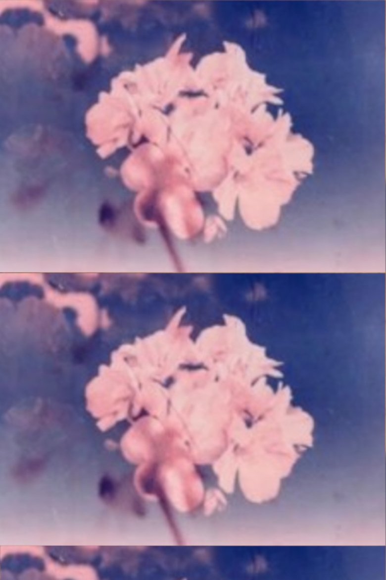 Poster of Wild Flower