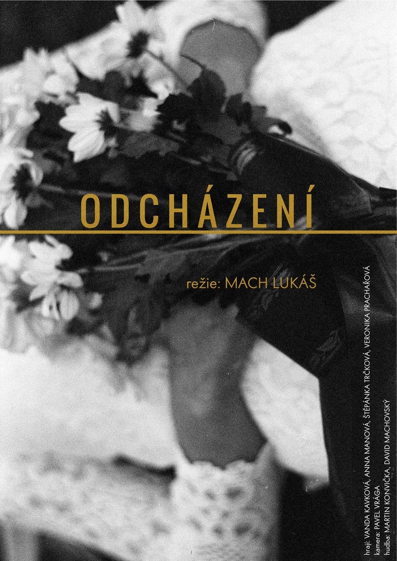 Poster of Odcházení