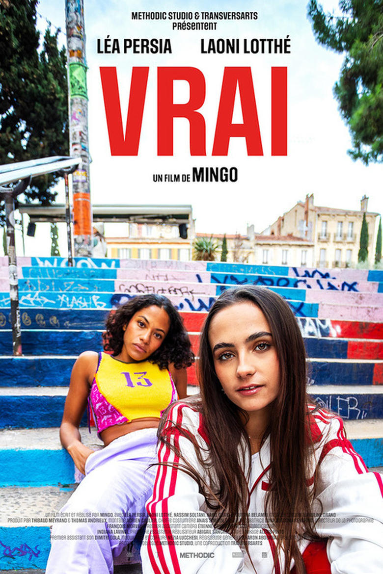 Poster of Vrai