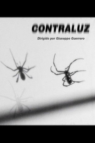 Poster of Contraluz
