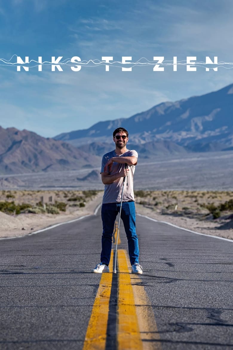 Poster of Niks te zien