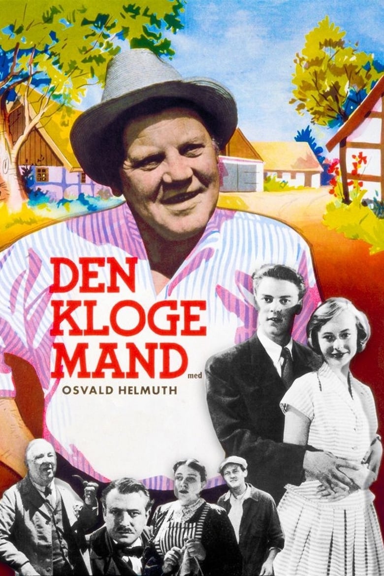 Poster of Den kloge mand