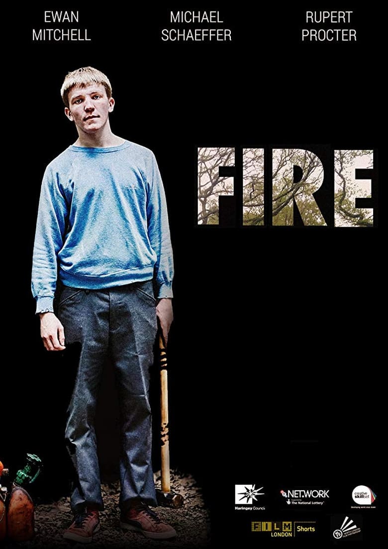 Poster of Fire