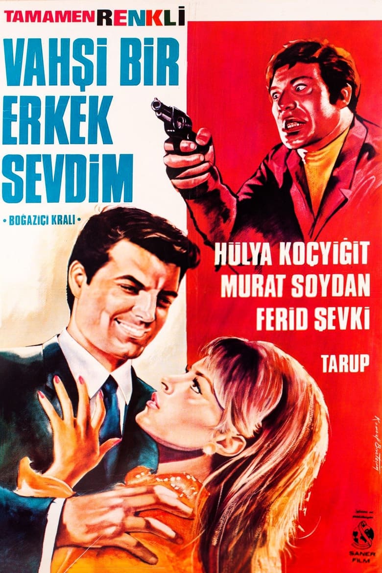 Poster of Vahşi Bir Erkek Sevdim