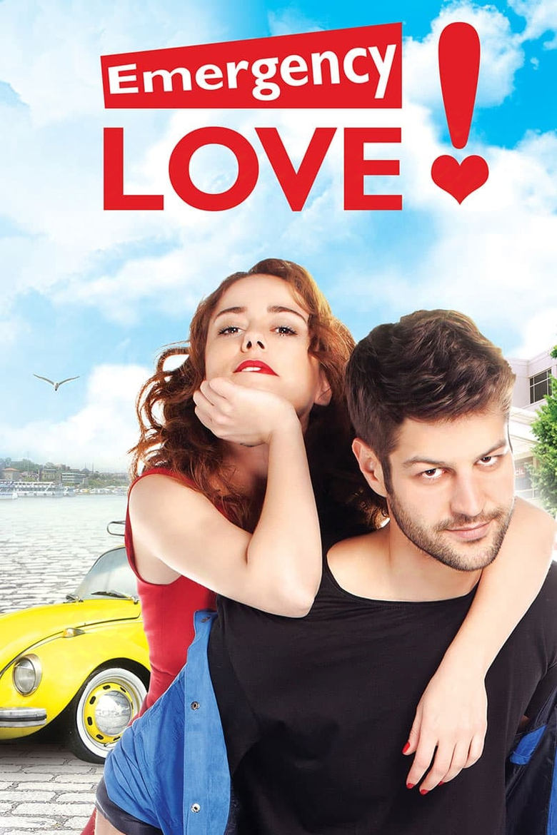 Poster of Emergency Love