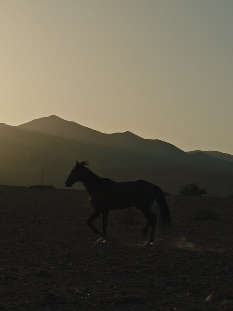 Poster of Why Did You Leave the Horse Alone?