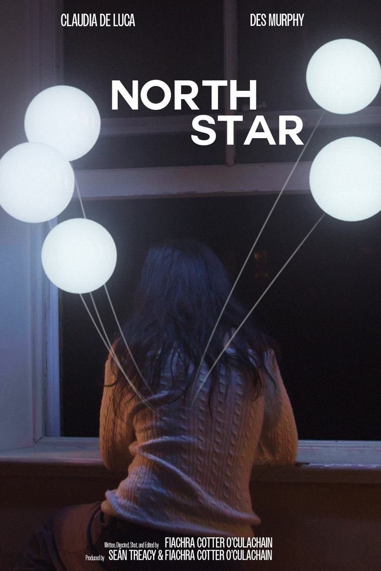 Poster of North Star