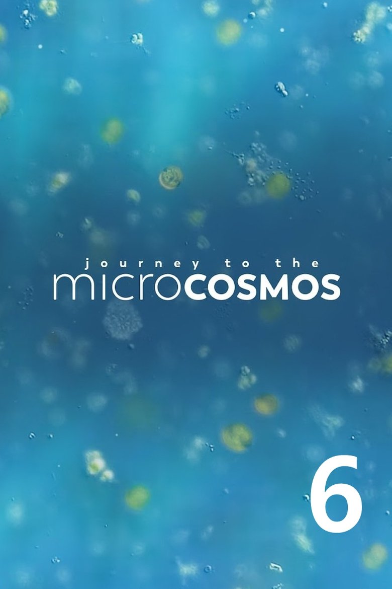 Poster of Episodes in Journey To The Microcosmos - Season 6 - Season 6