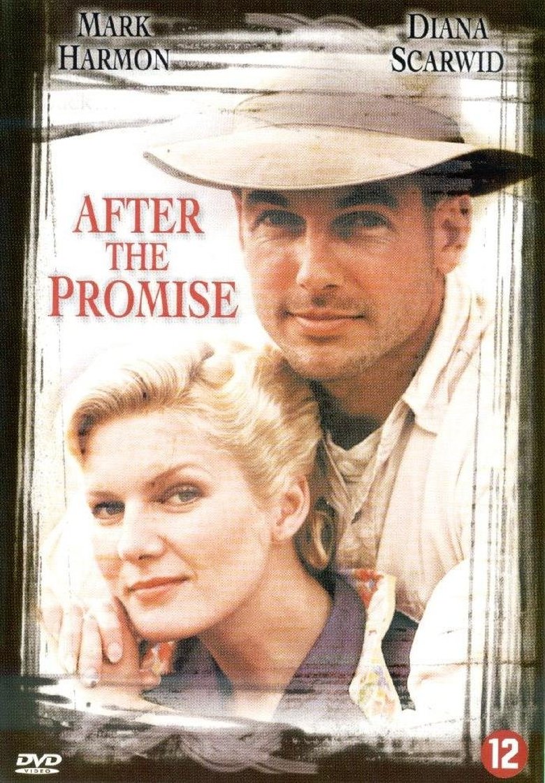 Poster of After the Promise