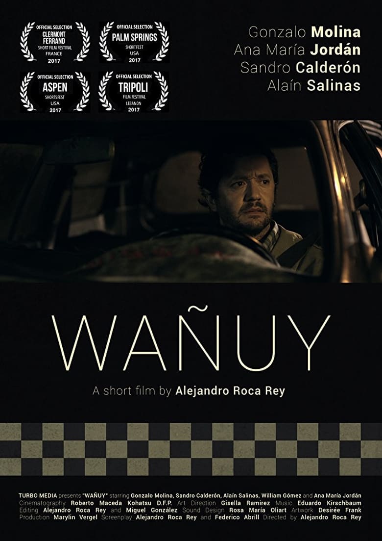 Poster of Wañuy