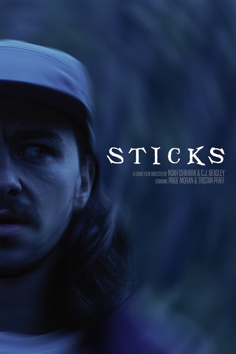 Poster of STICKS