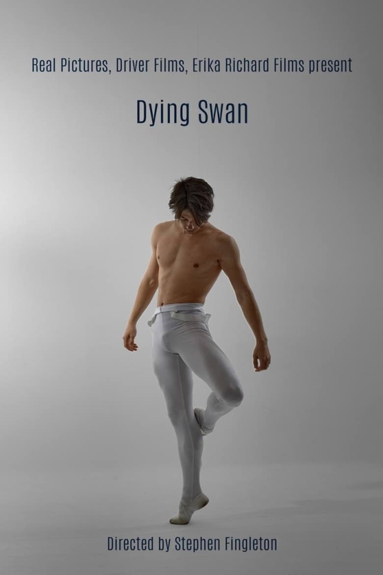 Poster of Dying Swan