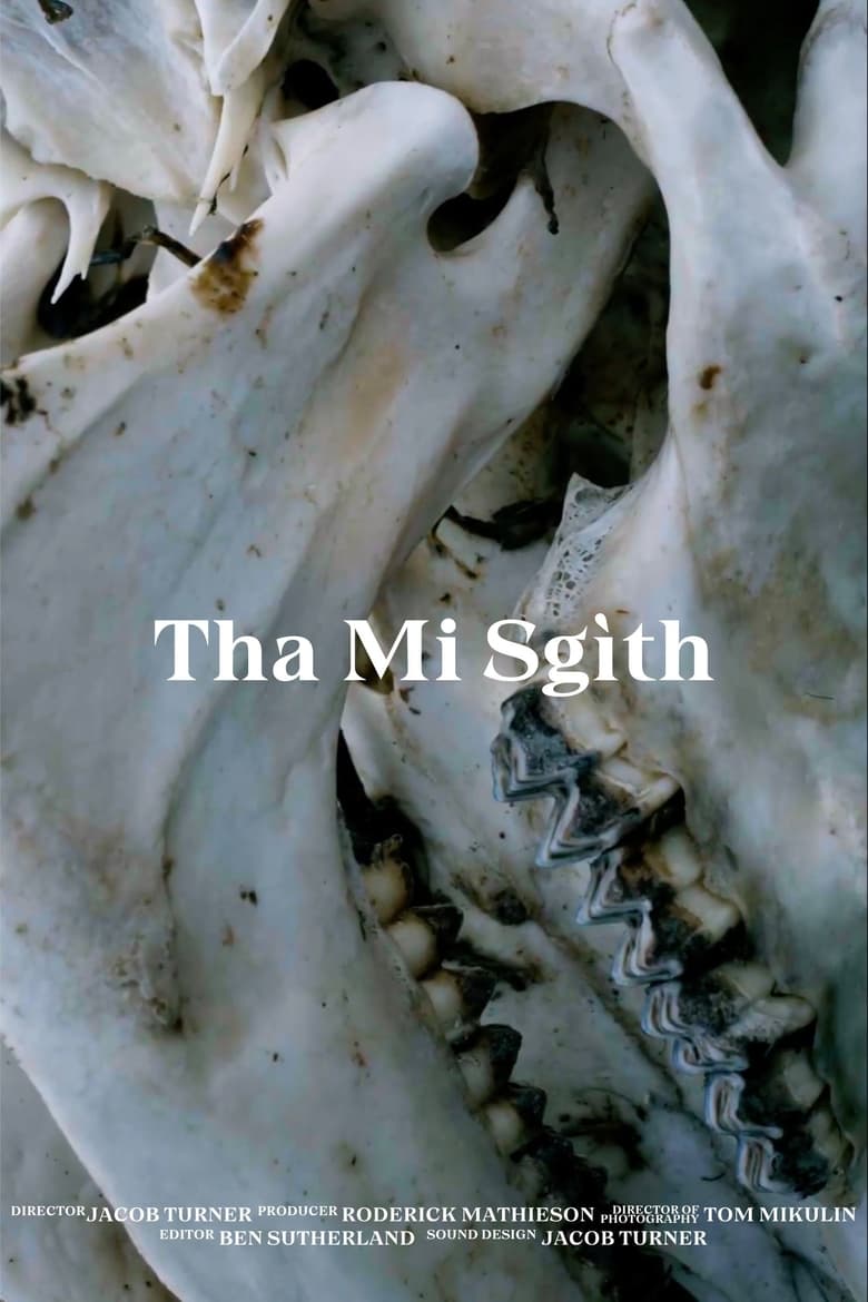 Poster of Tha Mi Sgìth