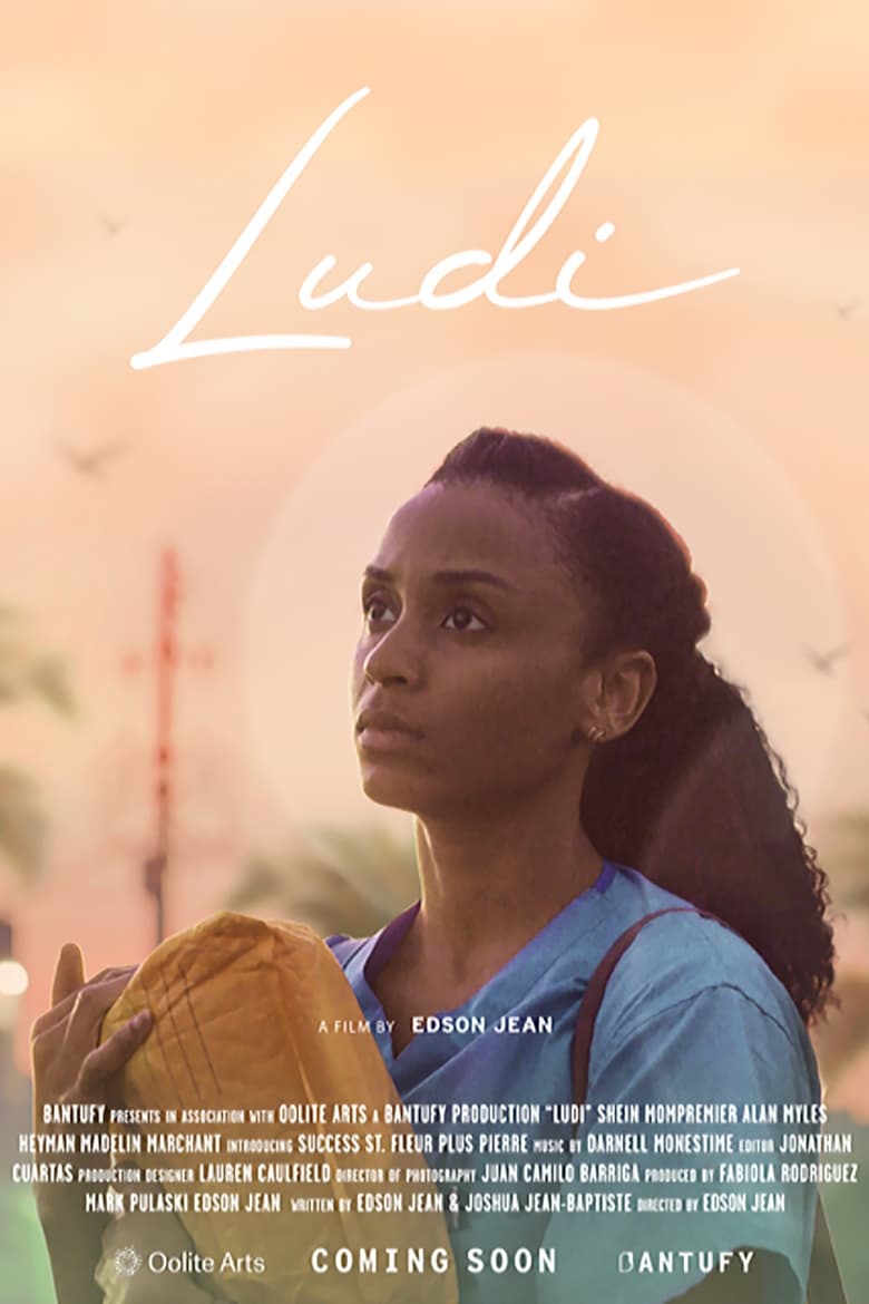 Poster of Ludi