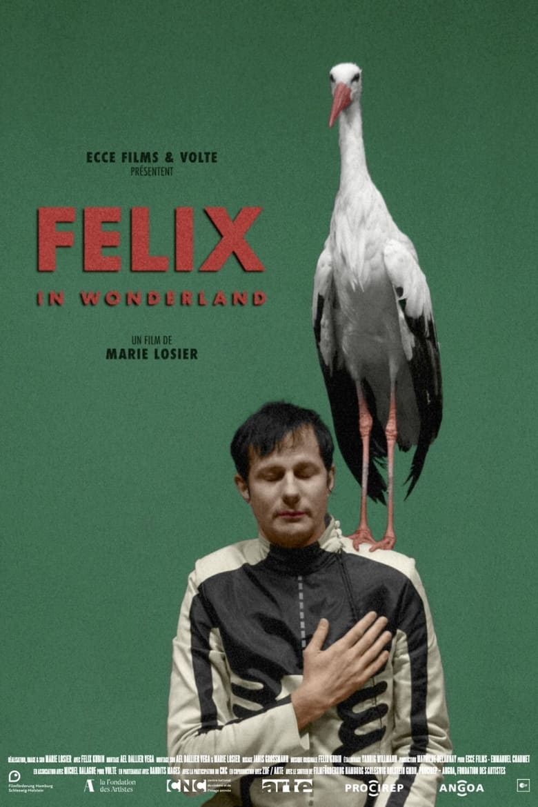 Poster of Felix in Wonderland