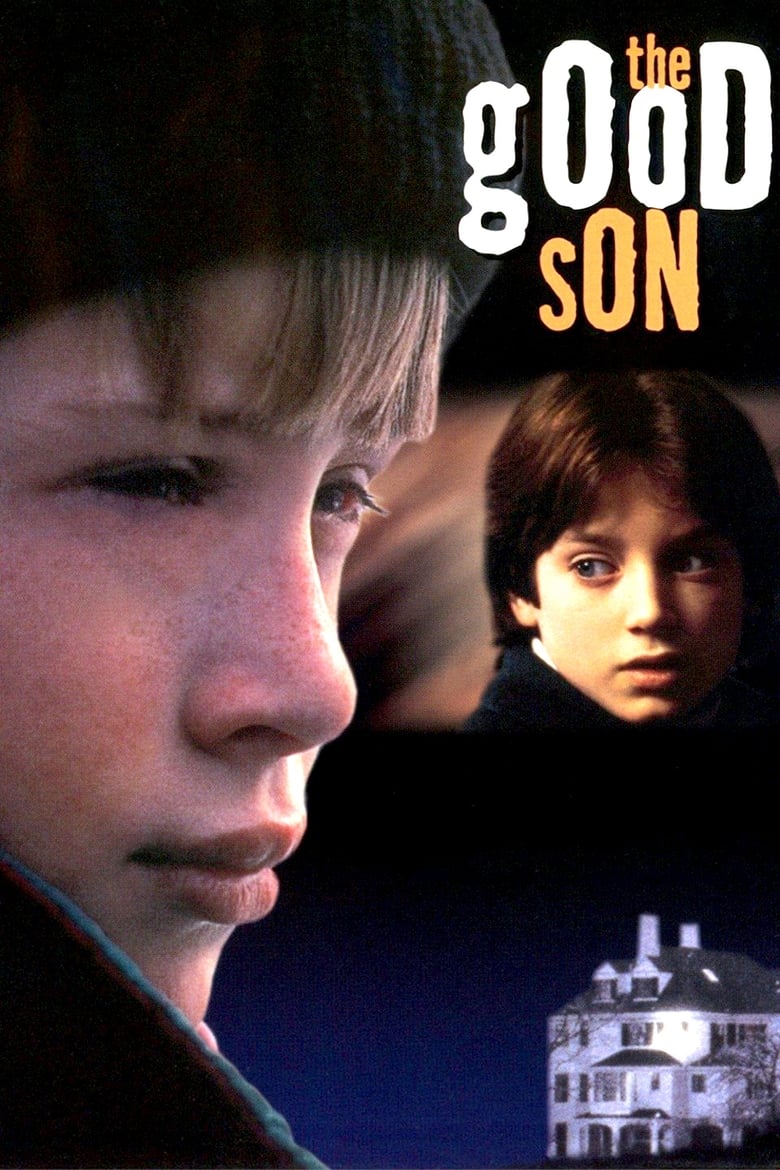 Poster of The Good Son