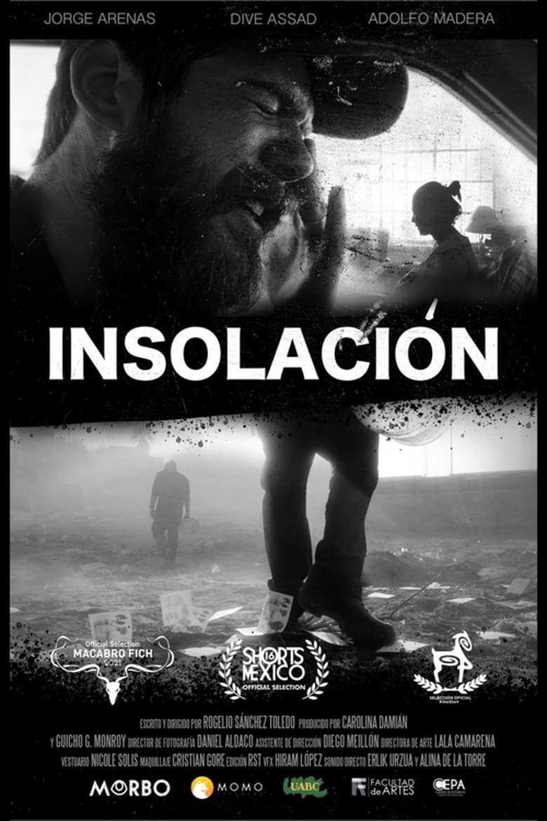 Poster of Insolación