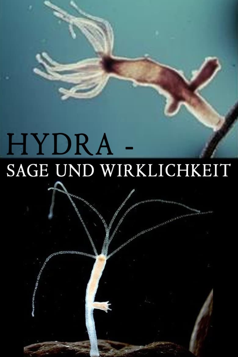 Poster of Hydra - Legend and Reality