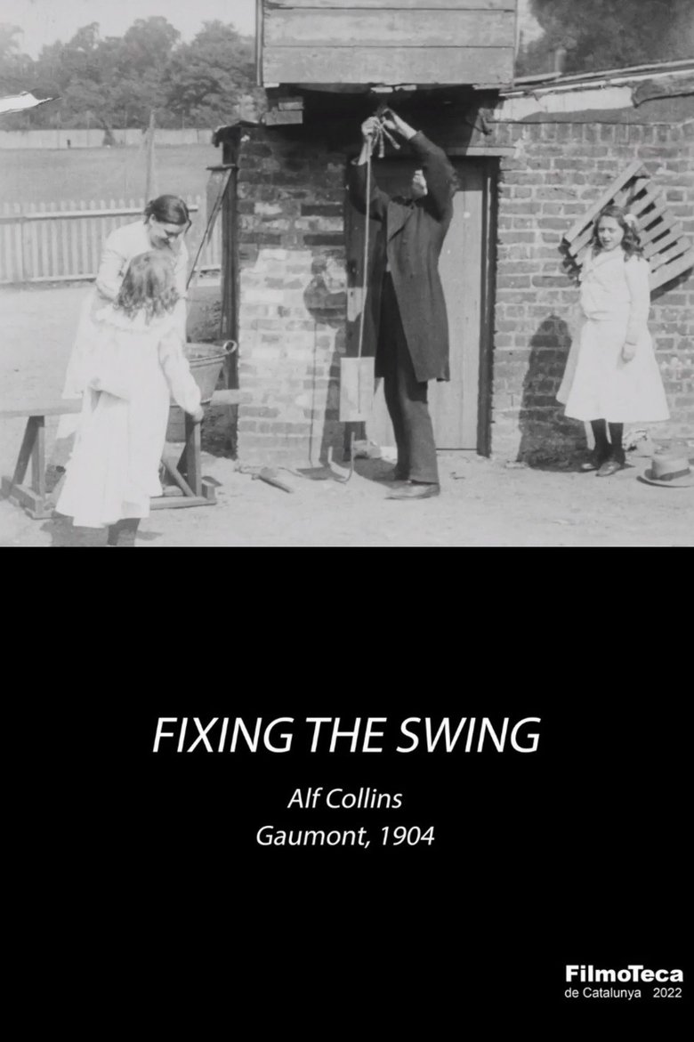 Poster of Fixing the Swing