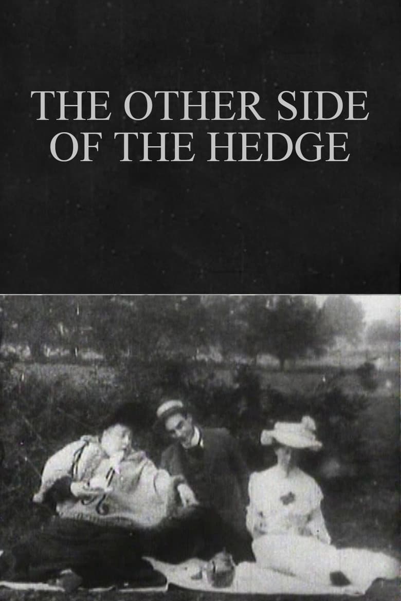 Poster of The Other Side of the Hedge