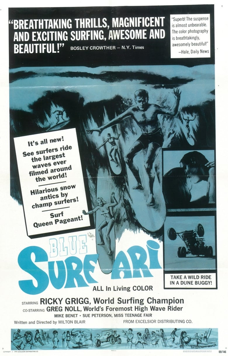 Poster of Surfari