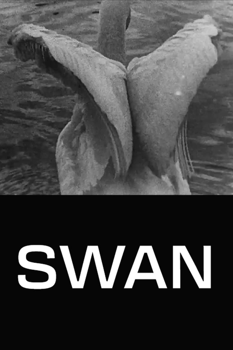 Poster of Swan