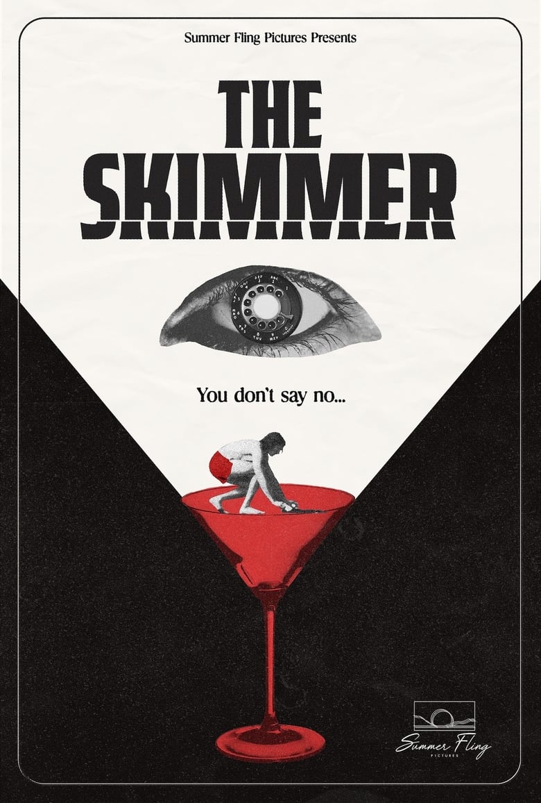 Poster of The Skimmer