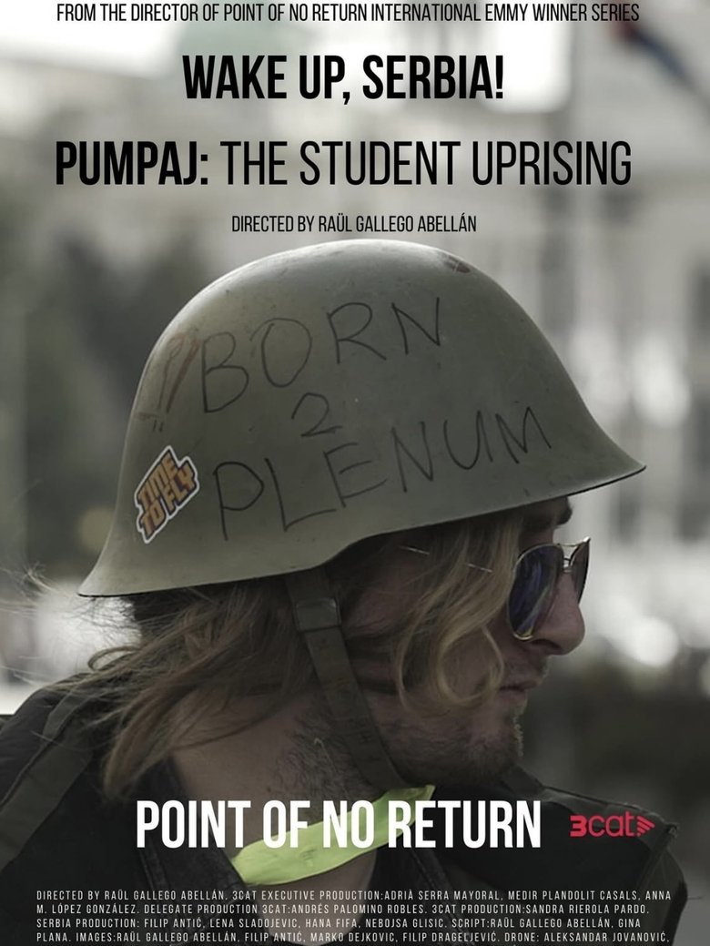 Poster of Point of No Return