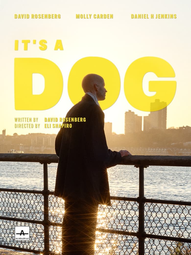 Poster of It's a Dog