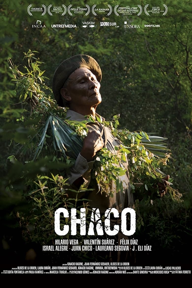 Poster of Chaco