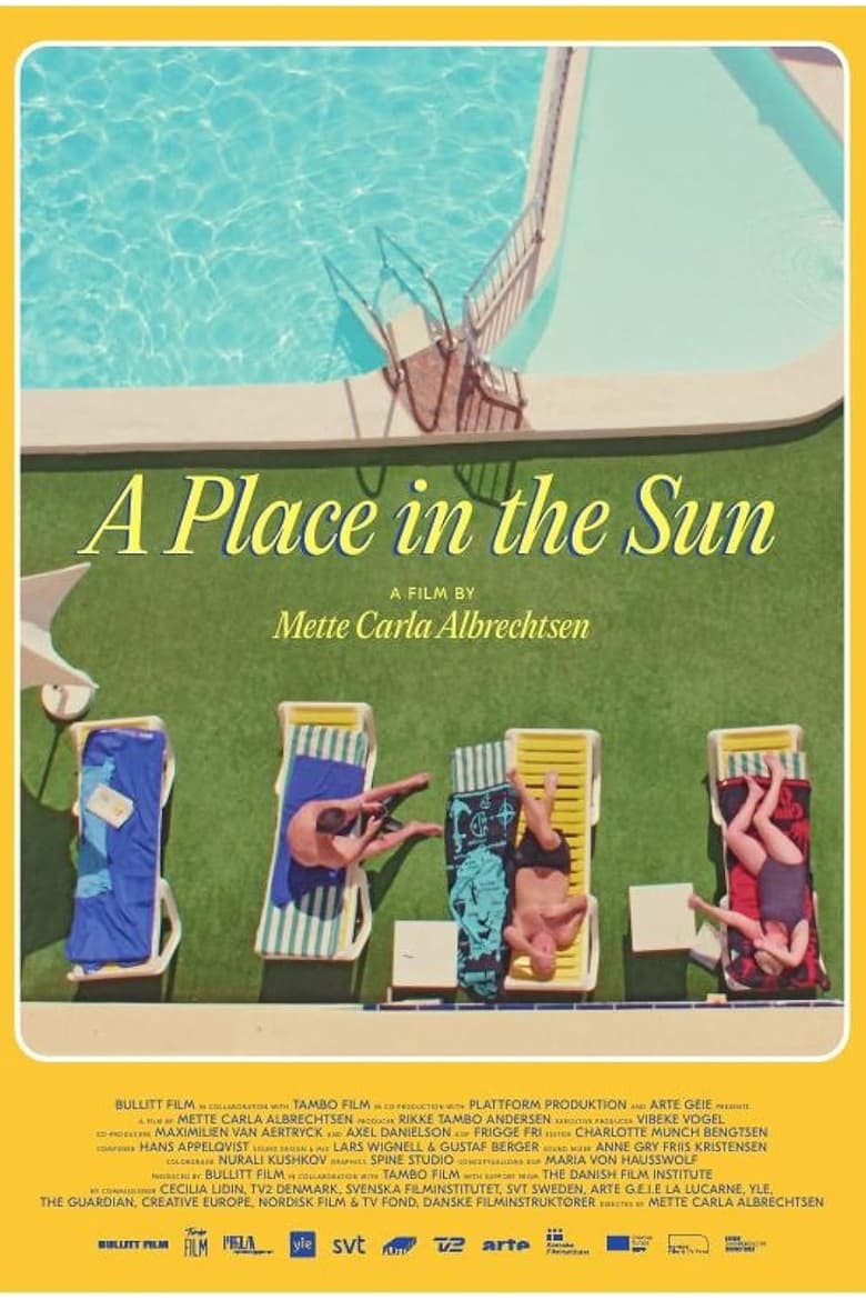 Poster of A Place in the Sun