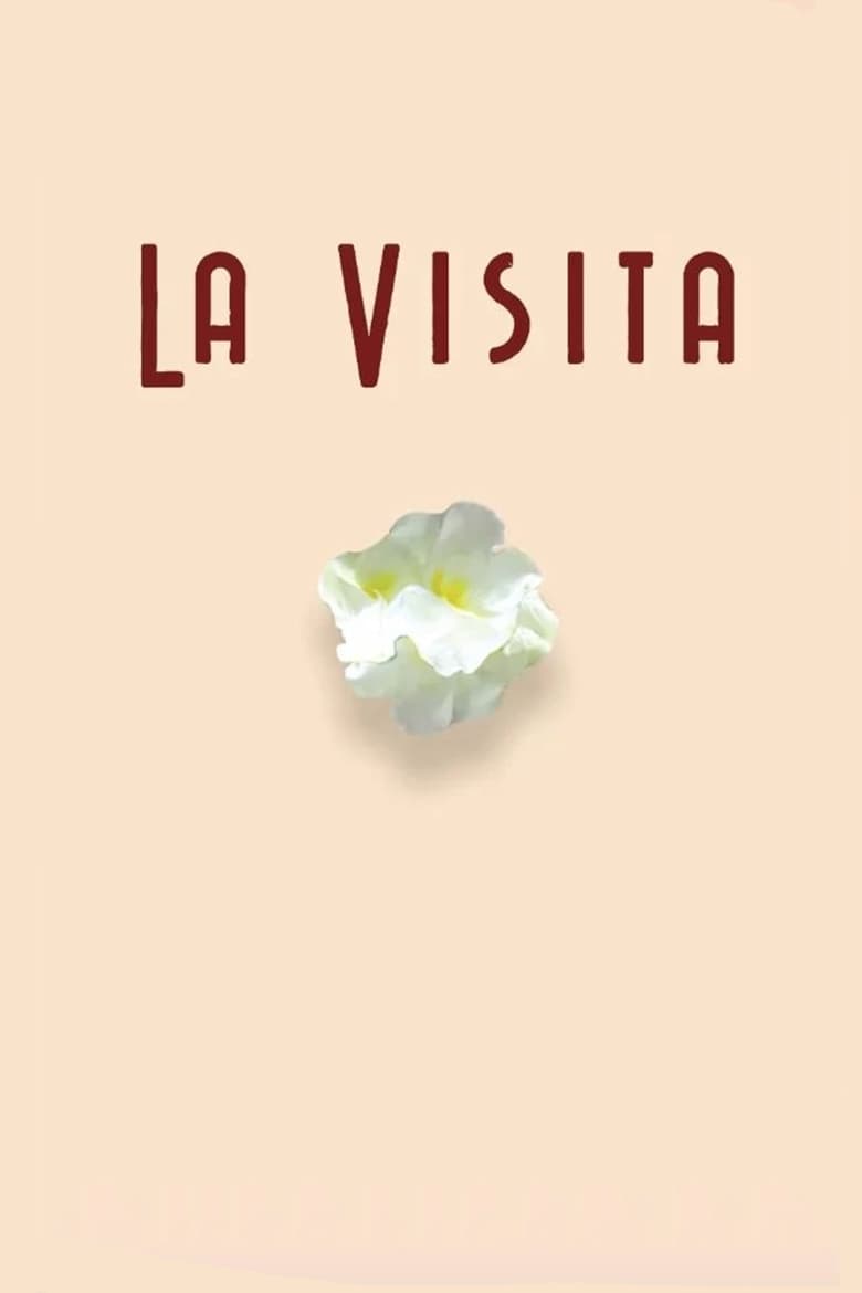 Poster of La visita